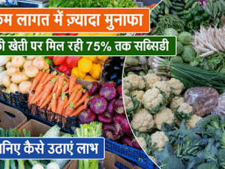 bihar-kisan-subsidy-benefits